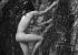 Calendario Stone Nudes 2008
