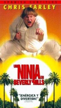 Mai dire ninja