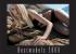 Bestmodels 2009 - Cover