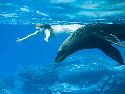 Abigail Breslin sull'Isola di Nim nuota con i delfini