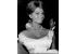 Sophia Loren 3